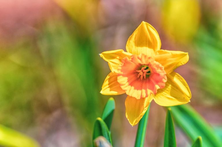 Local Interfaith Clergy Group Providing Outreach Service This Thursday