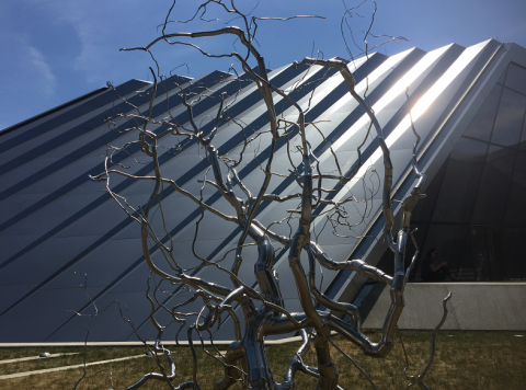 Entertainment Venues and Local Hangouts Close Temporarily