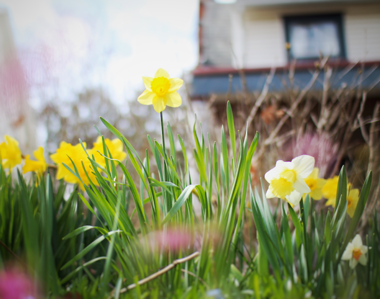 We Need Your Financial Help for ELi’s Reporting