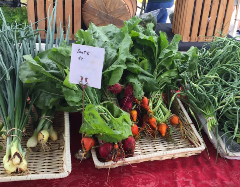 Council Member Gregg Pushes for Opening Farmers Market in June