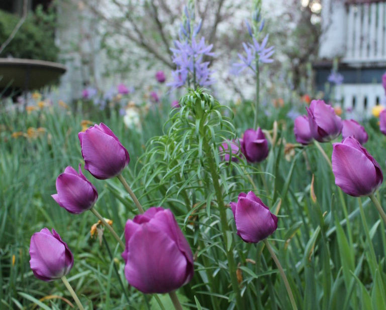 Resources For Those Who Experienced Sexual Assault and Relationship Violence