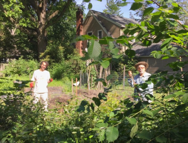 Little Local Joys: Friendship Grows In a Backyard Garden