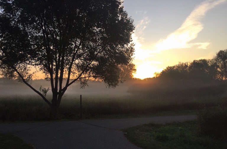 Ask ELi: How Does East Lansing’s Geography Affect Home Maintenance?