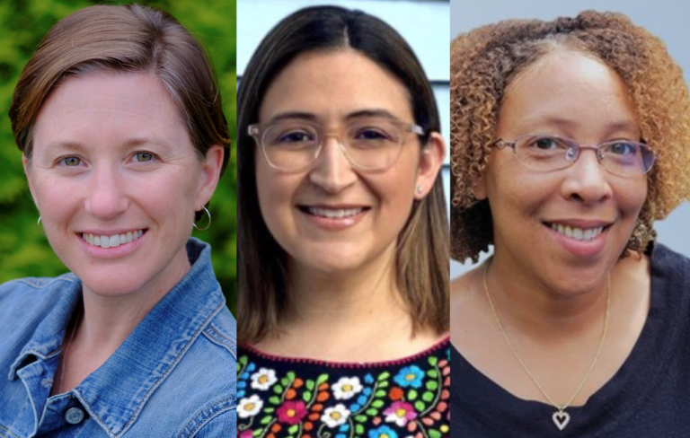 Walton, Guerrero Lyons, and Fink Win School Board Seats