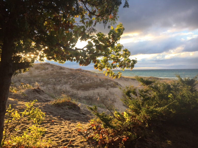 Spend Locally: Moosejaw