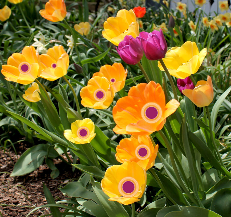 The Good that East Lansing Brings