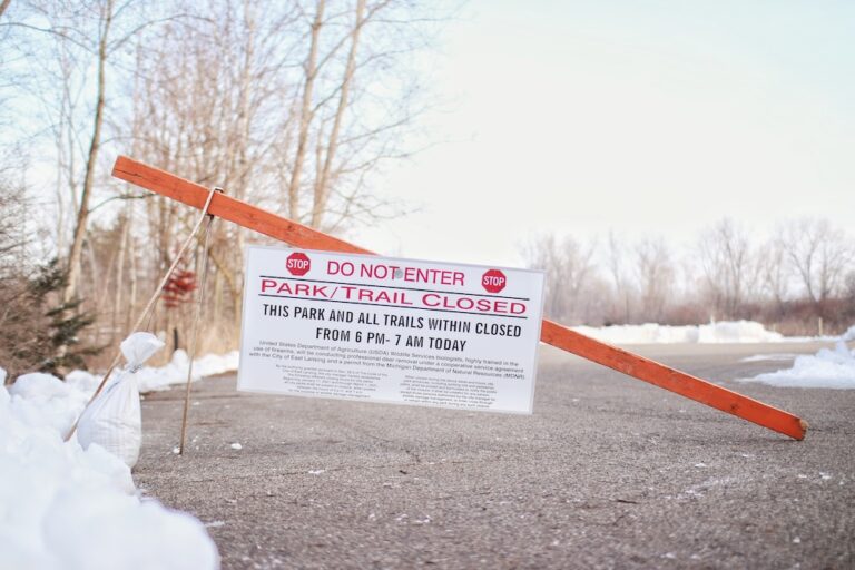 East Lansing’s Second Deer Cull to Start on Jan. 3 Amid Continued Controversy