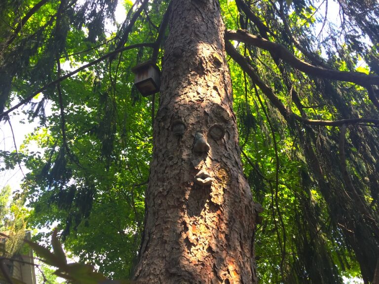 Where Does the City Stand in Its Plans to Go Green?