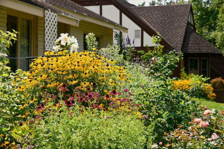 East Lansing at Home: Carla’s Garden