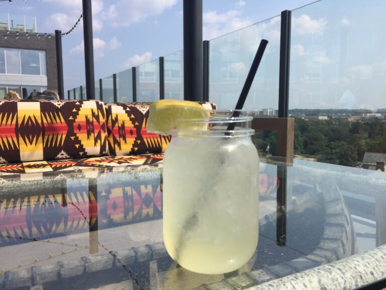 The Housing Study, Plasticware (Redux) at The Graduate Bar, and Another New Hotel: Report from EL Planning Commission