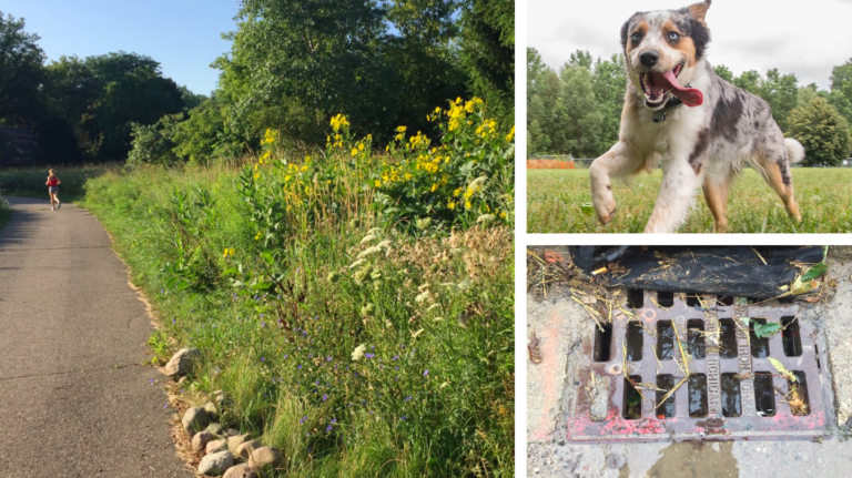 Ask ELi: Sewers, Trails, Dogs, and Door-to-Door Salespeople