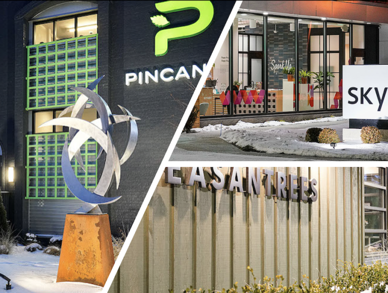 What’s the State of Marijuana Retail In East Lansing?