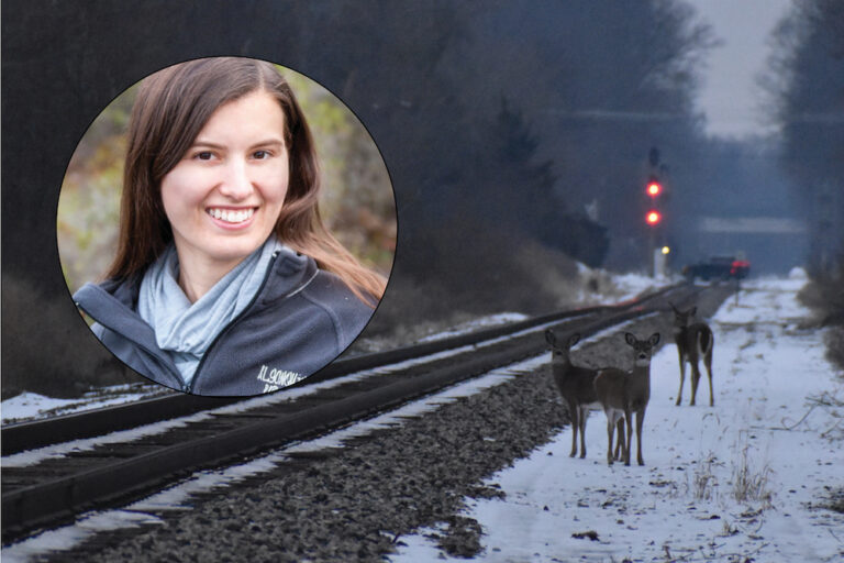 East Lansing Insider: MSU’s Dr. Alexa Warwick Goes In-Depth On East Lansing’s Deer Cull