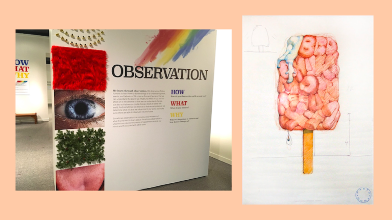 Slew of New Exhibits Coming to MSU This Spring